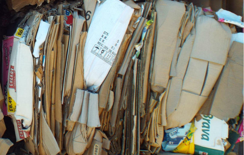 Why Businesses Should Prioritise Paper and Cardboard Recycling