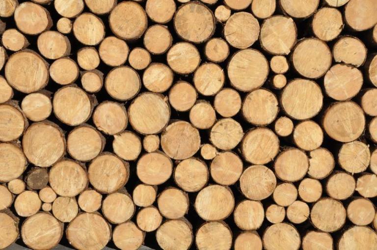 Can Wood be Recycled? LKM Recycling